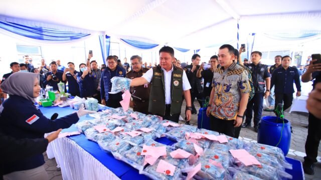 Kepala BNNP Sumsel Brigjen Pol Hisar Siallagan dan Gubernur Herman Deru memimpin pemusnahan barang bukti narkoba sebagai bagian dari upaya pemberantasan narkoba Sumsel.