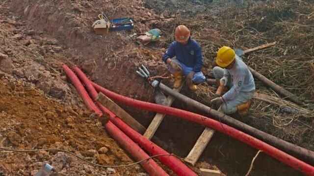 Petugas PLN UP3 Palembang melakukan perbaikan infrastruktur listrik yang terdampak karhutla di Jalan Tanjung Api-Api.