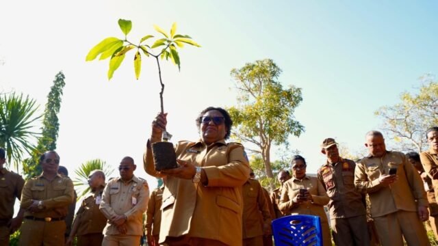 Wamendagri Ribka Haluk bersama Pemda dan masyarakat NTT menanam pohon dukung Gerakan Indonesia ASRI di Kupang.