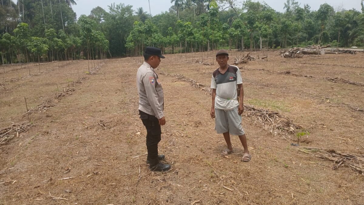 Bhabinkamtibmas Polsek Simpang Sambangi Petani Jagung, Dukung Program Ketahanan Pangan