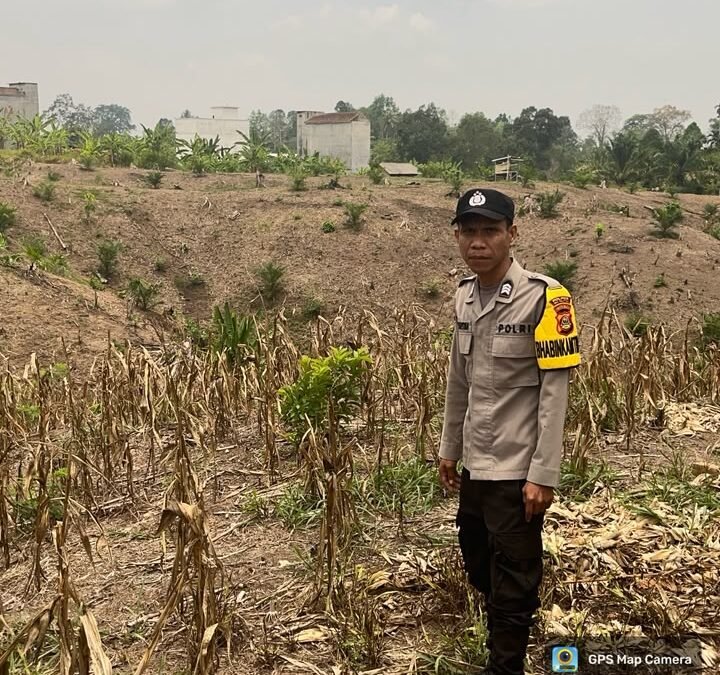 Bhabinkamtibmas Buay Runjung Cek Lahan Persiapan Jagung, Dukung Program Ketahanan Pangan