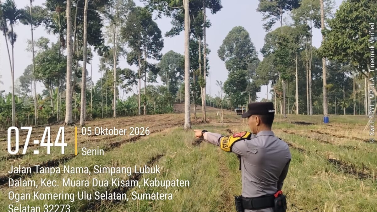 Polri Dukung Ketahanan Pangan, Bhabinkamtibmas Muaradua Kisam Cek Lahan Jagung