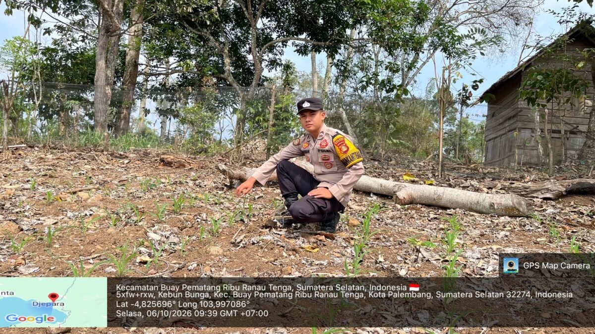 Dekat dengan Warga, Bhabinkamtibmas Polsek Banding Agung Turun ke Lahan Jagung Warga Hangkusa