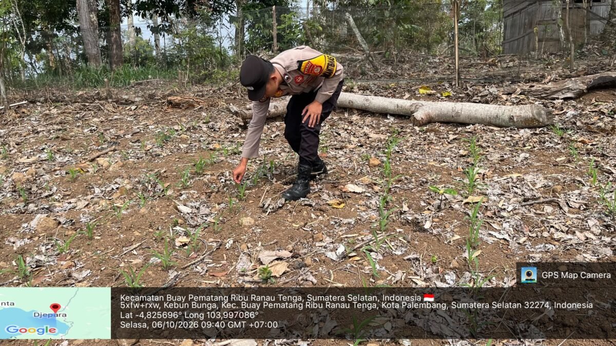 Sinergi Bersama Petani, Polsek Banding Agung Kawal Program Ketahanan Pangan di BPR Ranau Tengah