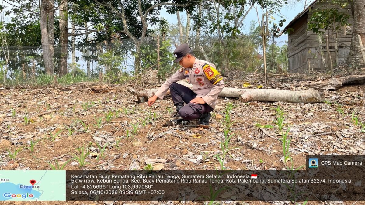 Dukung Ketahanan Pangan Nasional, Bhabinkamtibmas Polsek Banding Agung Cek Lahan Jagung Warga di Desa Hangkusa