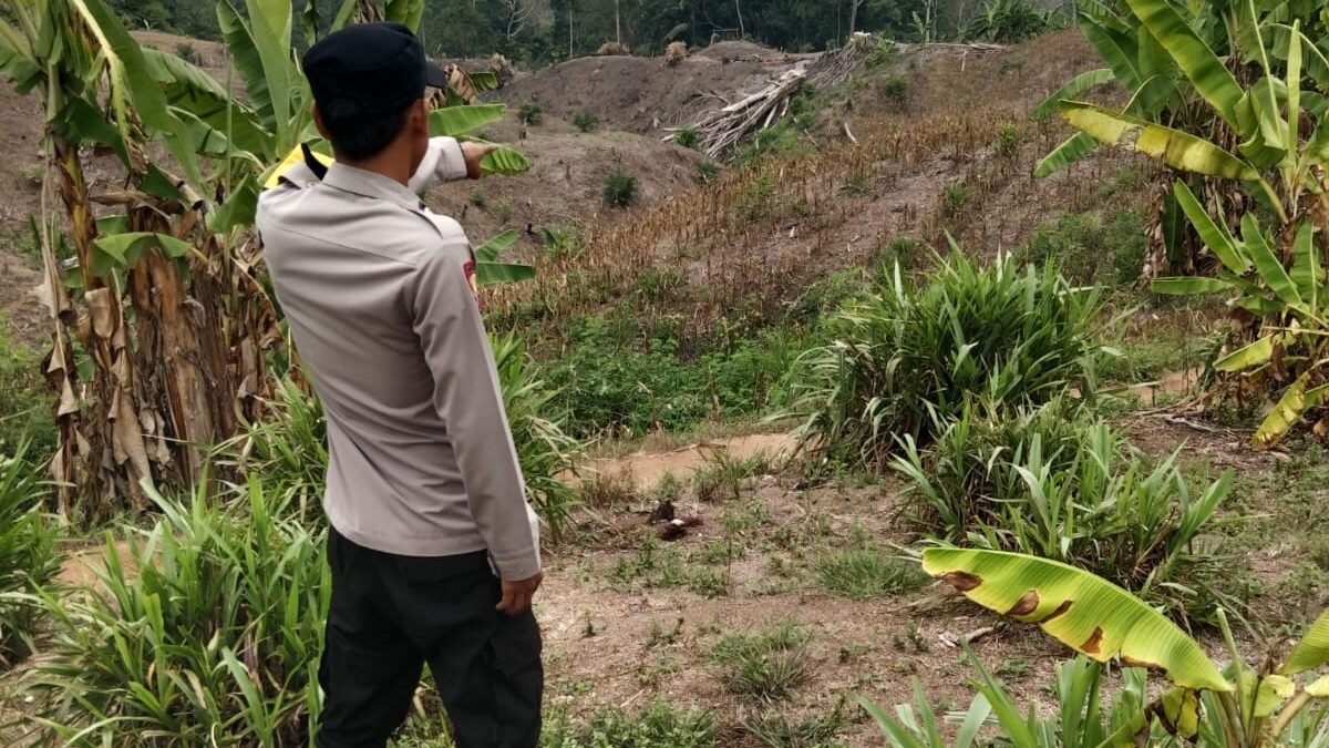 Bhabinkamtibmas Polsek Buay Runjung Cek Lahan Persiapan Tanam Jagung, Dukung Ketahanan Pangan