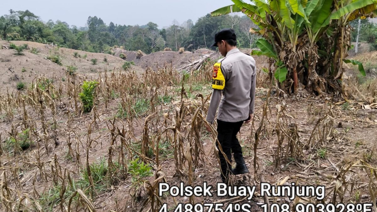 Polisi Hadir di Tengah Petani, Bhabinkamtibmas Dorong Pemanfaatan Lahan untuk Tanam Jagung