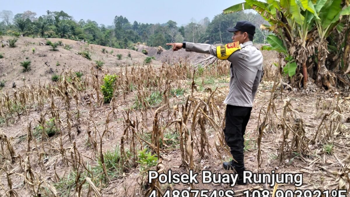 Dukung Ketahanan Pangan, Bhabinkamtibmas Polsek Buay Runjung Pantau Persiapan Lahan Jagung