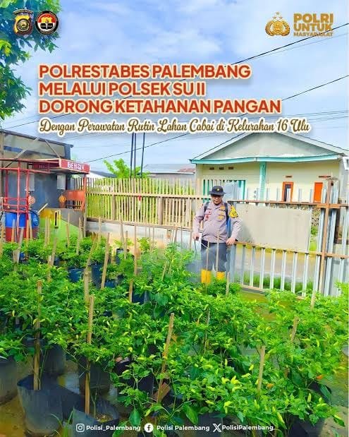 Polisi Turun ke Kebun, Polsek SU II Dukung Ketahanan Pangan Lewat Budidaya Cabai
